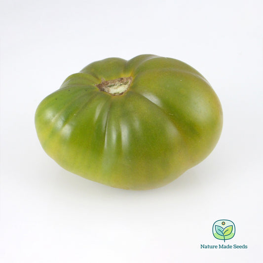 cherokee-green-tomato-heirloom-non-gmo-seed-2