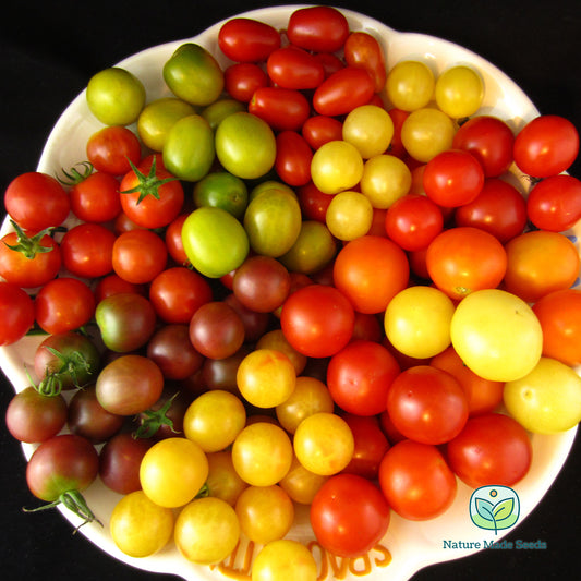 cherry-tomato-heirloom-mix-non-gmo-tomato-seeds 1