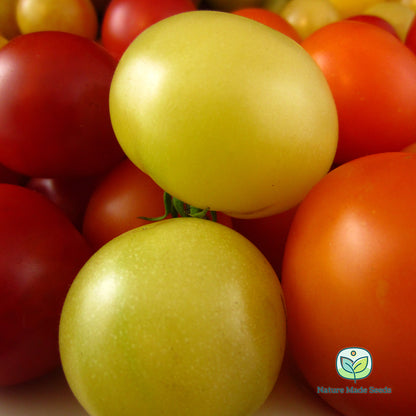 cherry-tomato-heirloom-mix-non-gmo-tomato-seeds 11