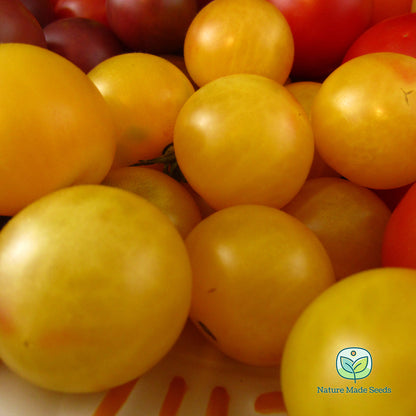 cherry-tomato-heirloom-mix-non-gmo-tomato-seeds 13