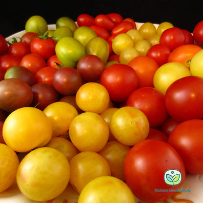 cherry-tomato-heirloom-mix-non-gmo-tomato-seeds 15