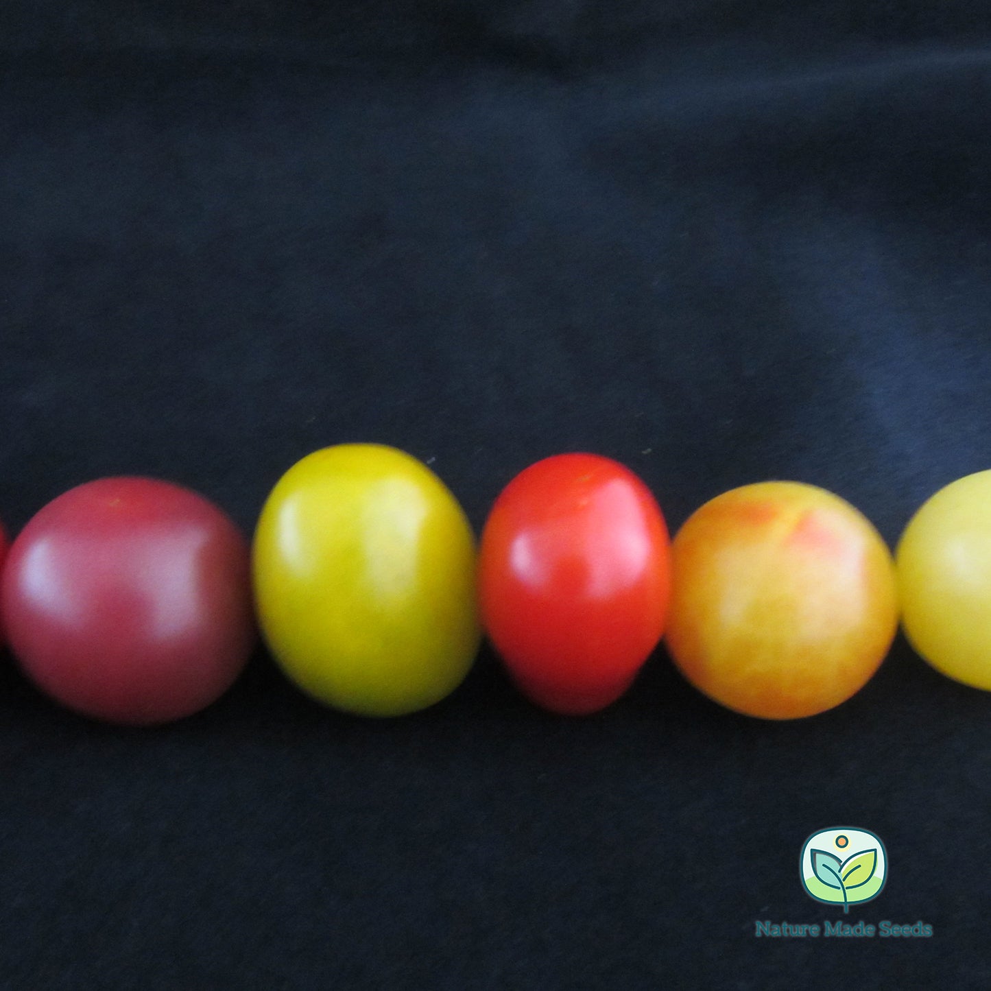 cherry-tomato-heirloom-mix-non-gmo-tomato-seeds 16