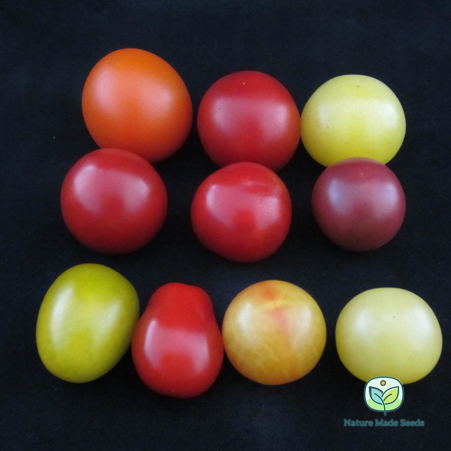 cherry-tomato-heirloom-mix-non-gmo-tomato-seeds 17