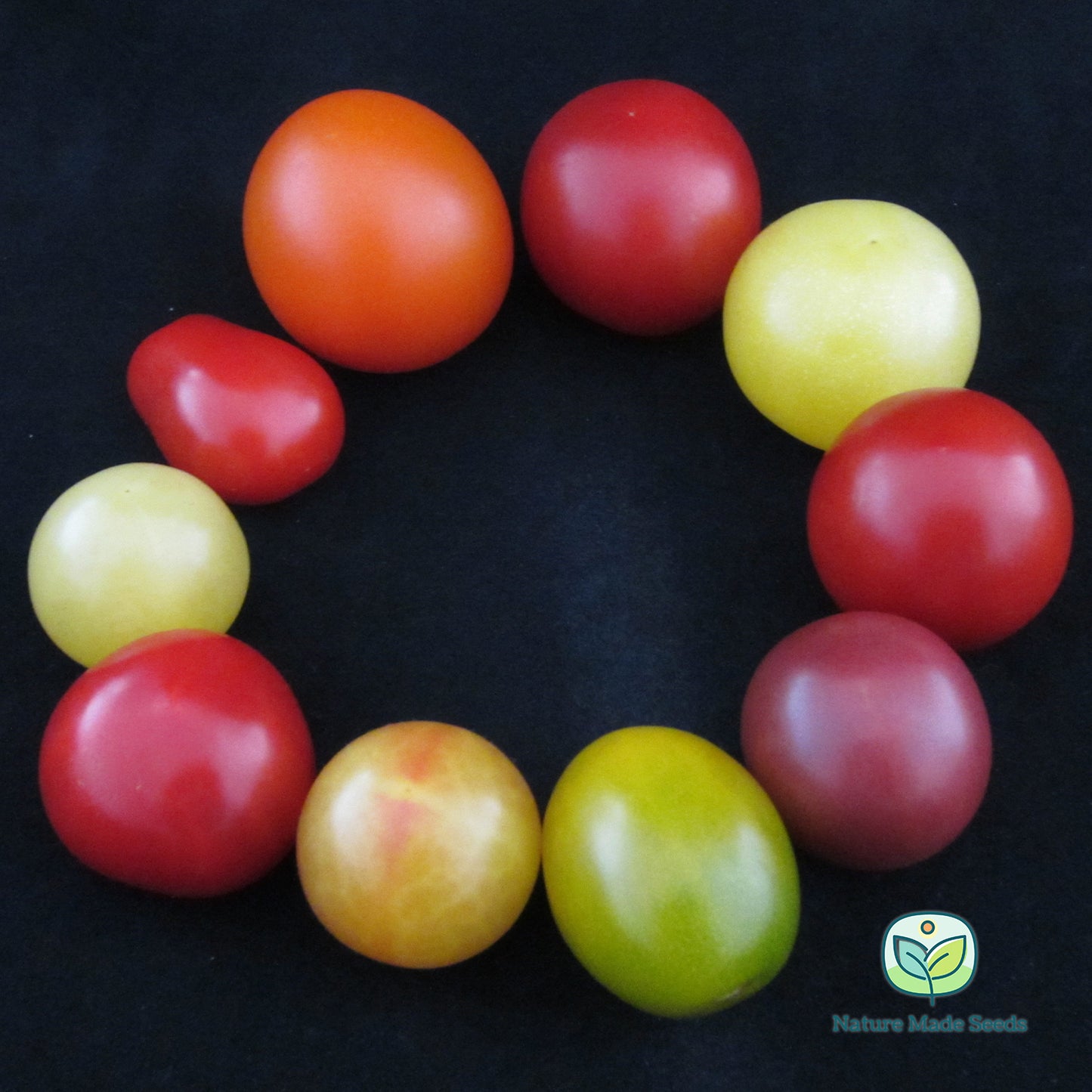 cherry-tomato-heirloom-mix-non-gmo-tomato-seeds 18