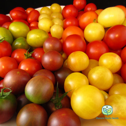 cherry-tomato-heirloom-mix-non-gmo-tomato-seeds 2