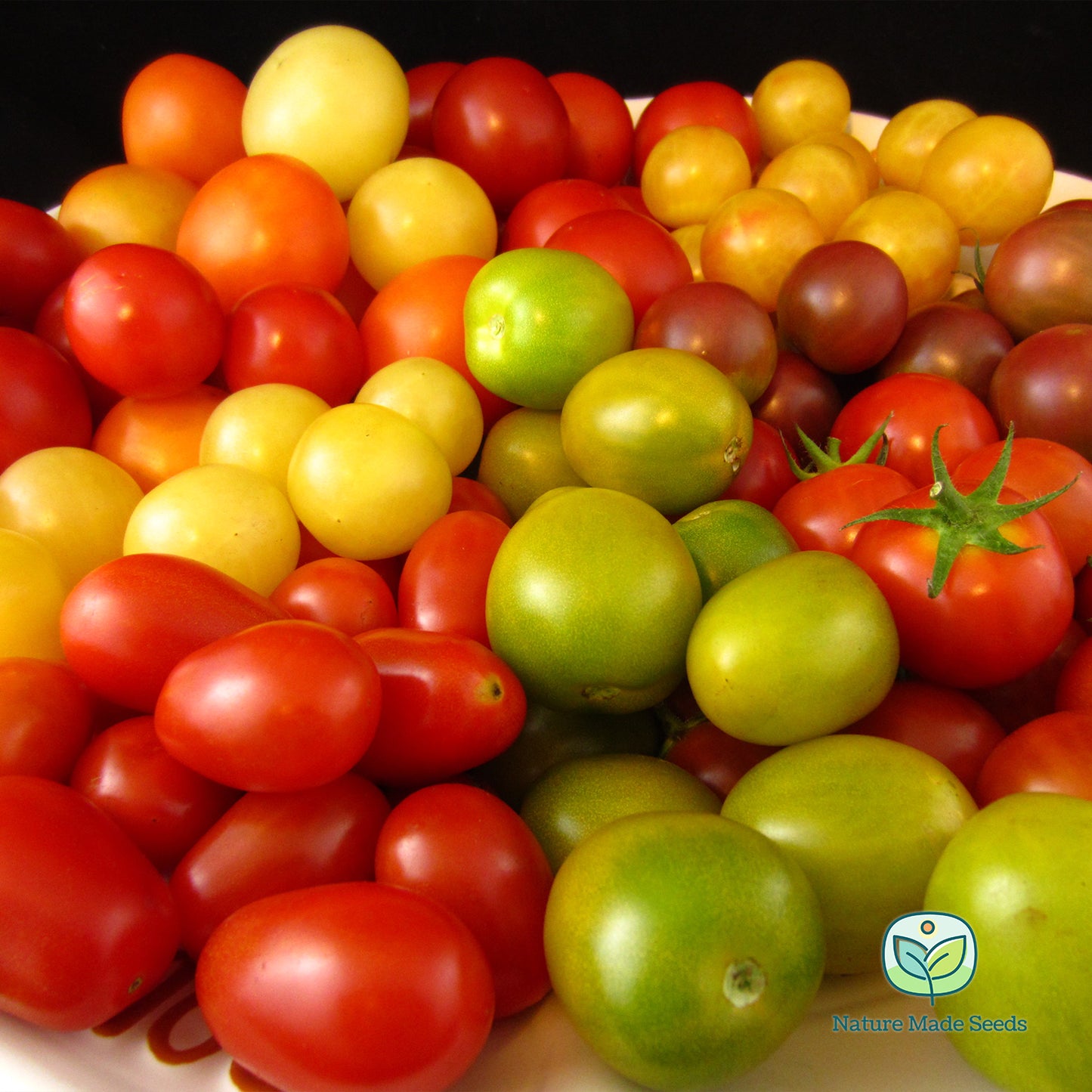 cherry-tomato-heirloom-mix-non-gmo-tomato-seeds 3