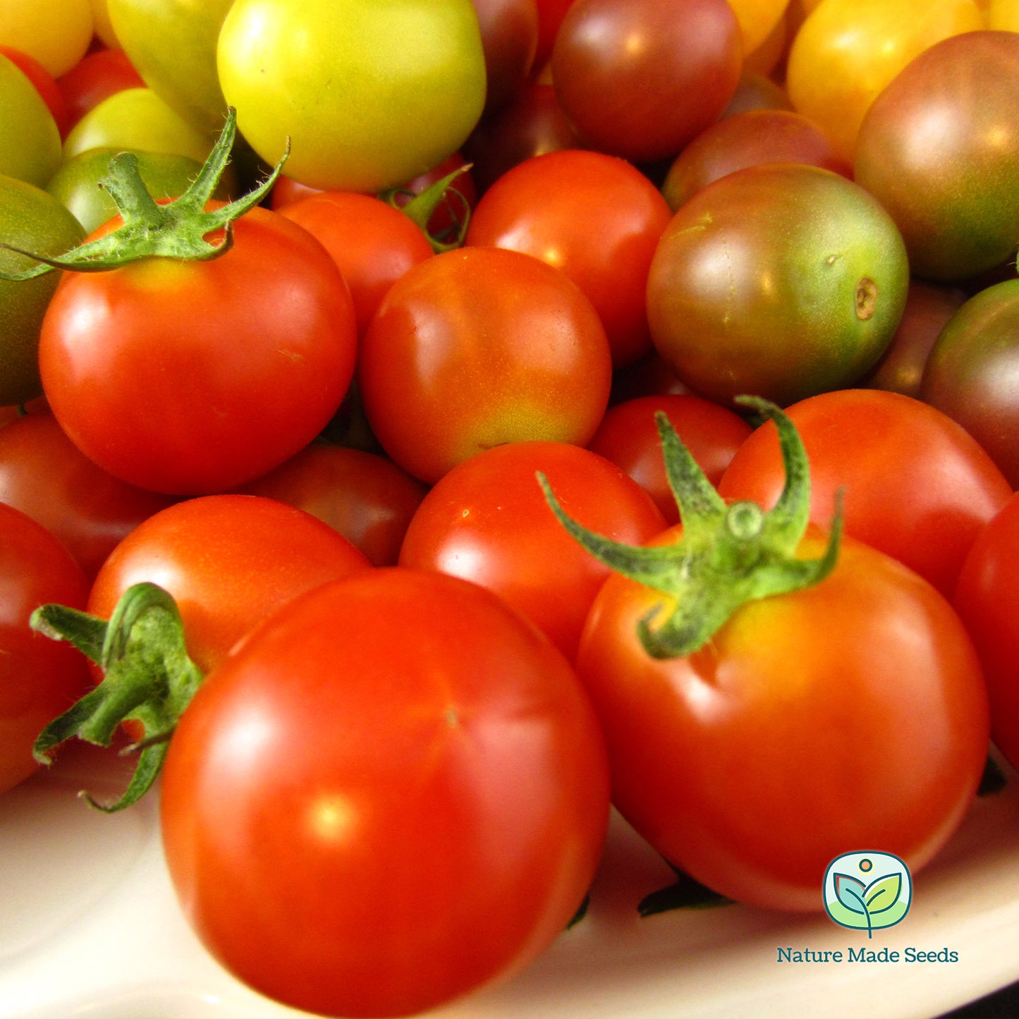 cherry-tomato-heirloom-mix-non-gmo-tomato-seeds 5