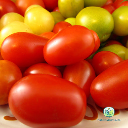 cherry-tomato-heirloom-mix-non-gmo-tomato-seeds 7