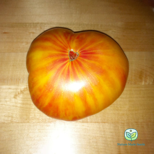 copia-tomato-heirloom-non-gmo-seeds