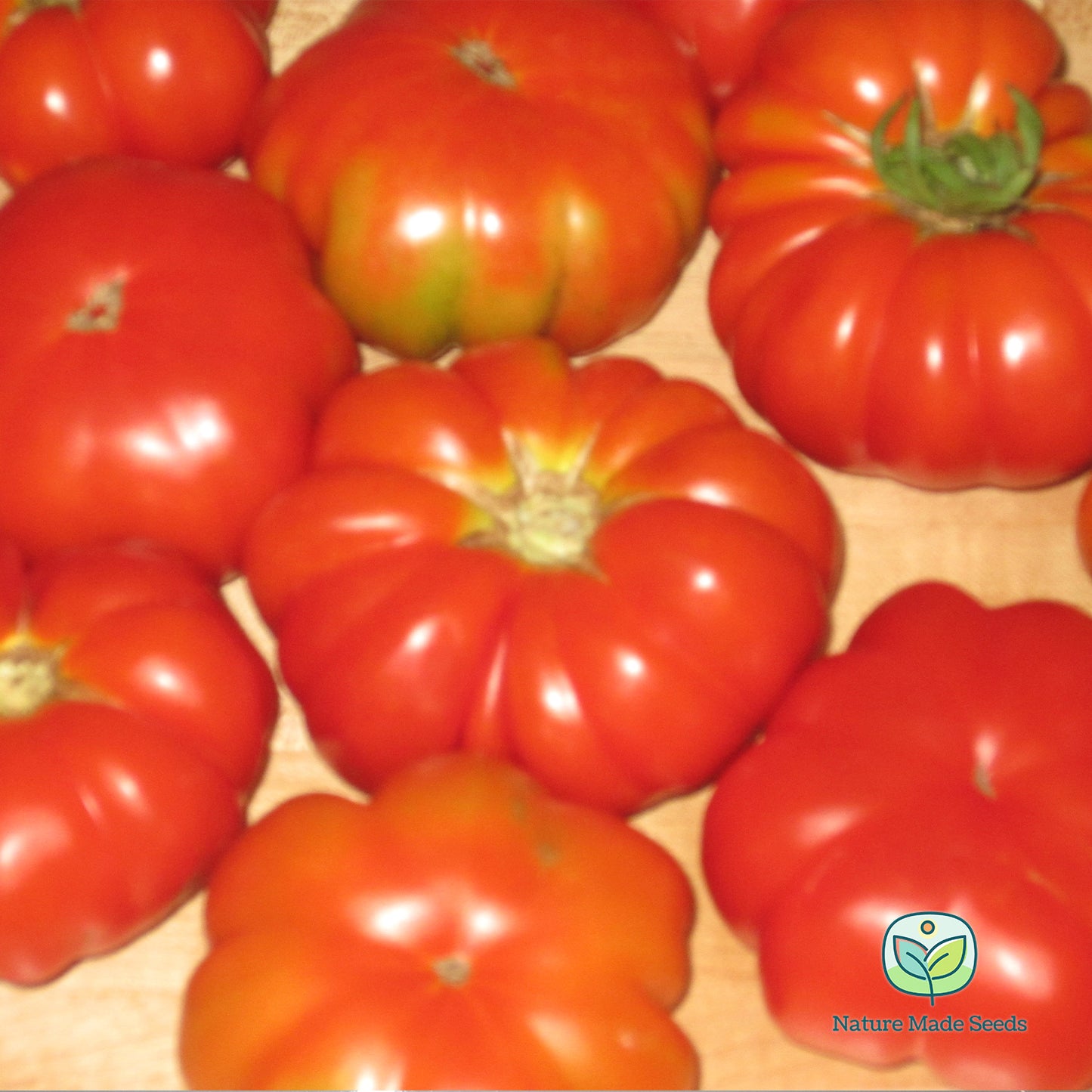 costoluto-genevese-tomato-heirloom-non-gmo-seeds