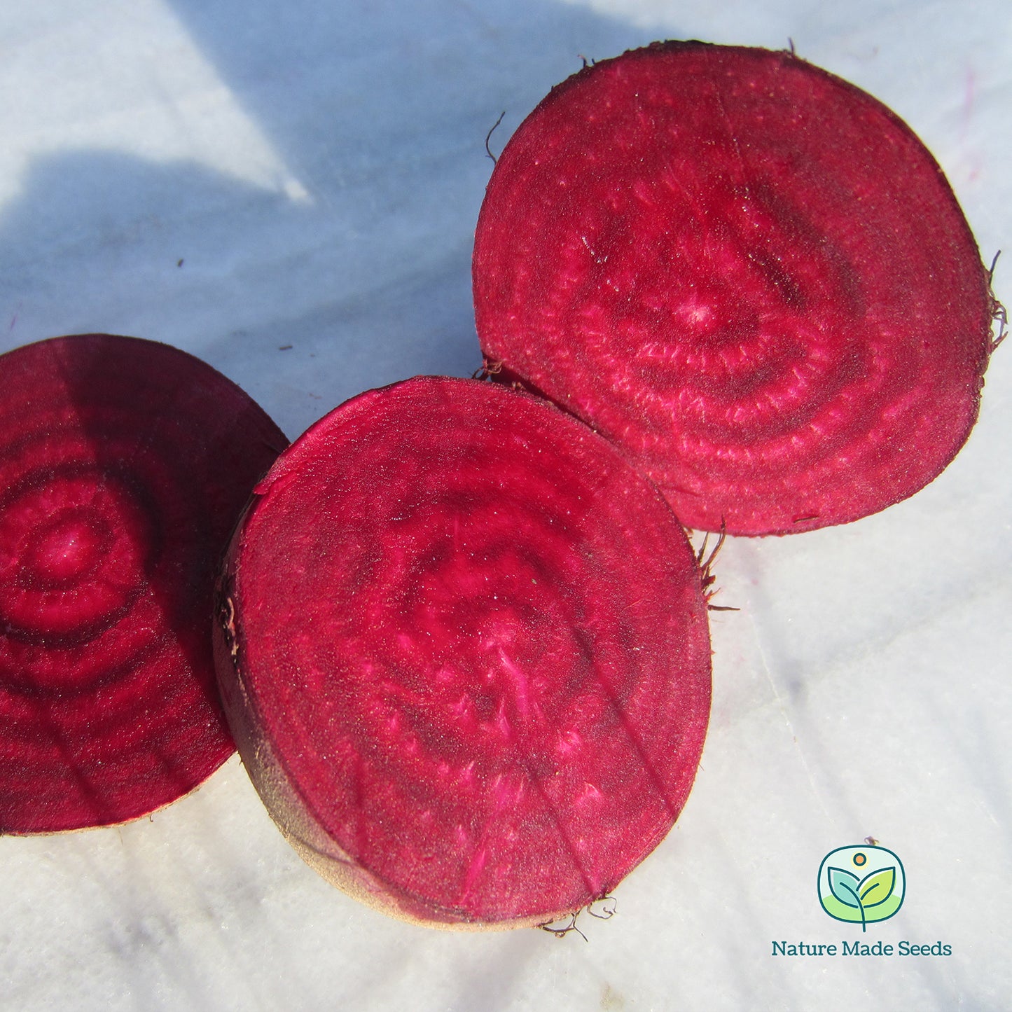 Best of Beets Mix Heirloom Non-GMO Seeds Collection