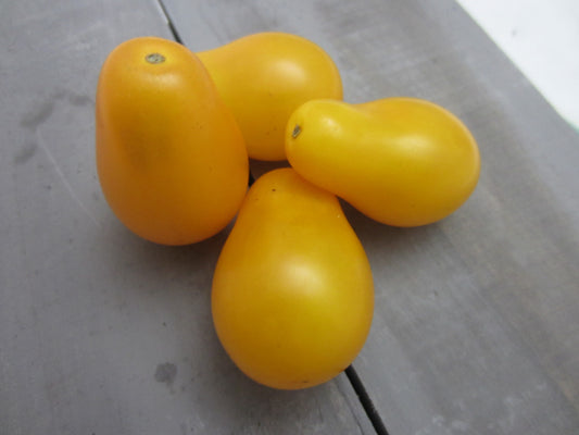 Yellow Pear Organic Heirloom Non-GMO Tomato Seeds