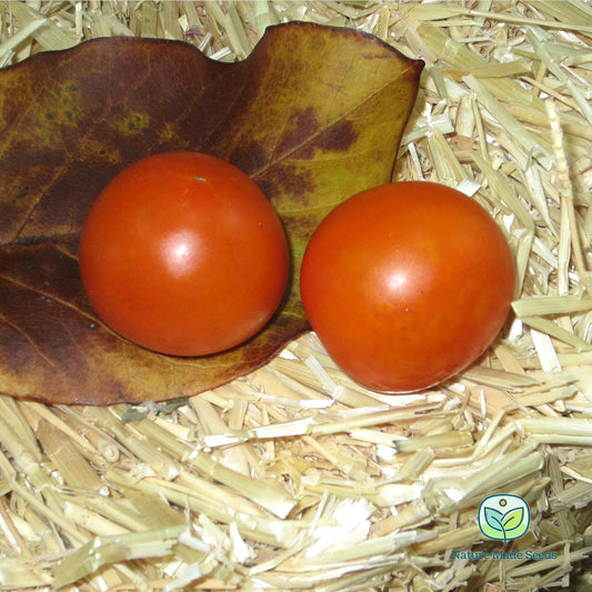 juane-flamme-tomato-heirloom-non-gmo-seeds