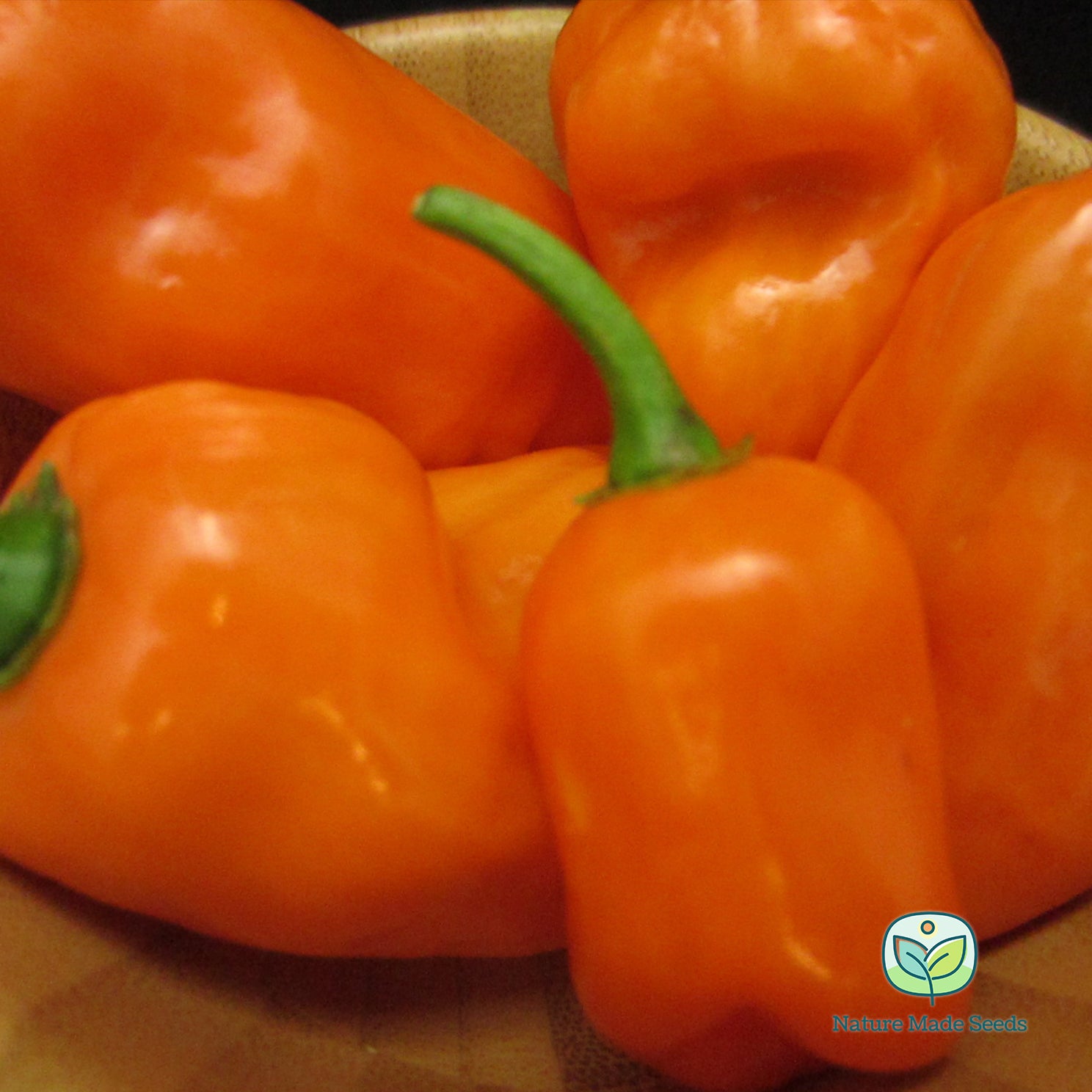 orange-habenaro-heirloom-non-gmo-pepper-seeds-3a