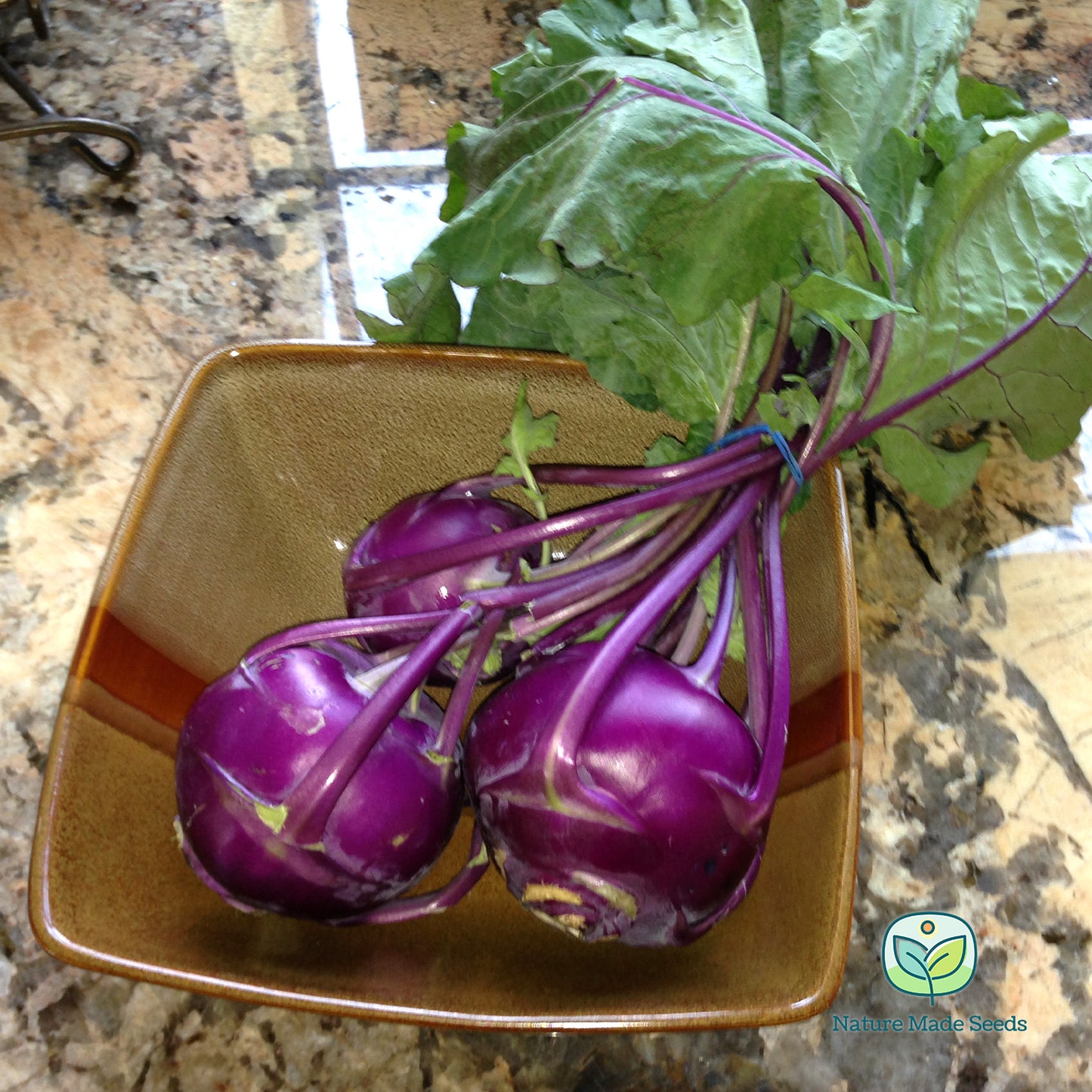 purple-vienna-heirloom-non-gmo-kohlrabi-seeds-2
